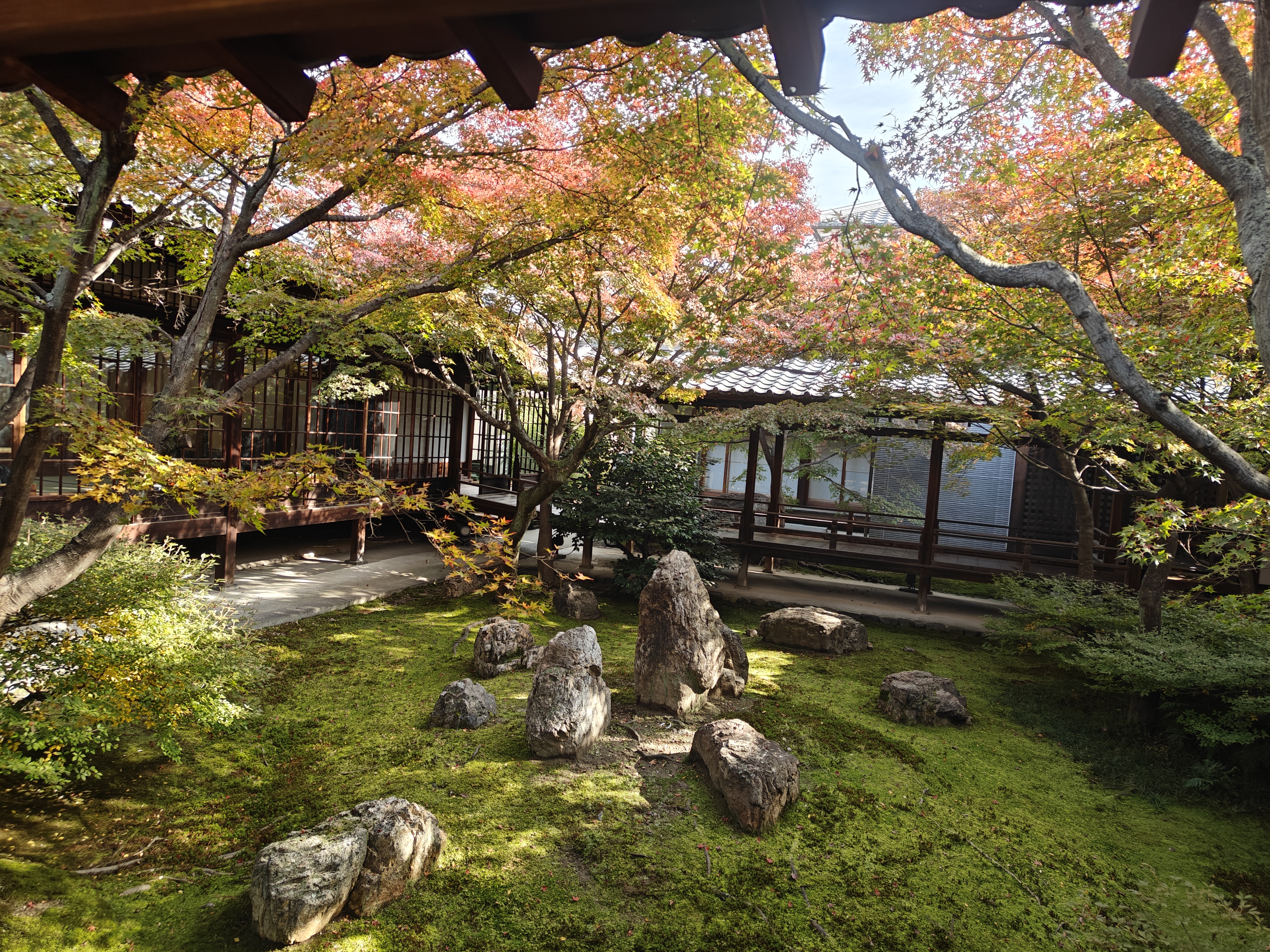 很好看的院内造景