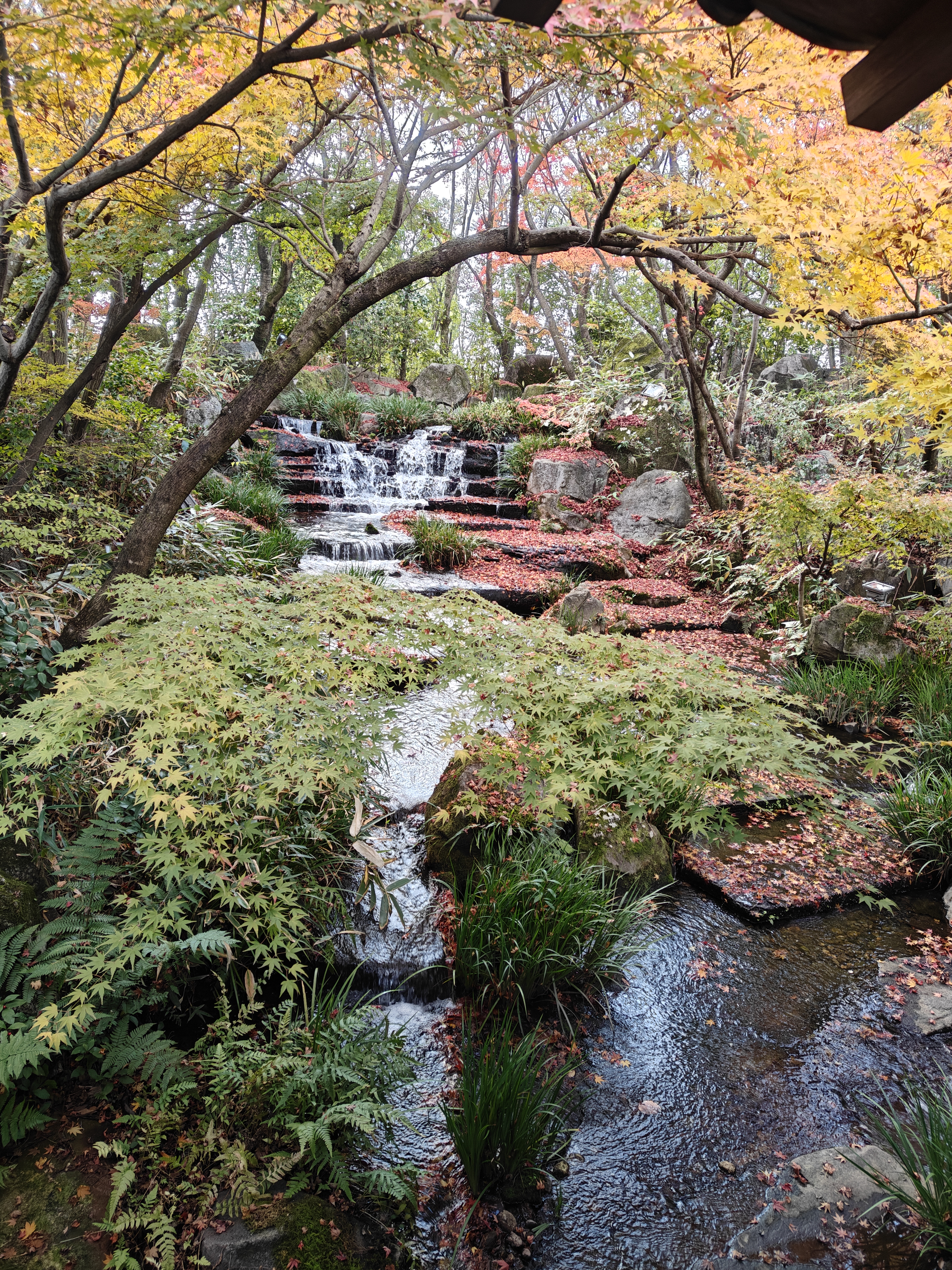 令人惬意的清泉