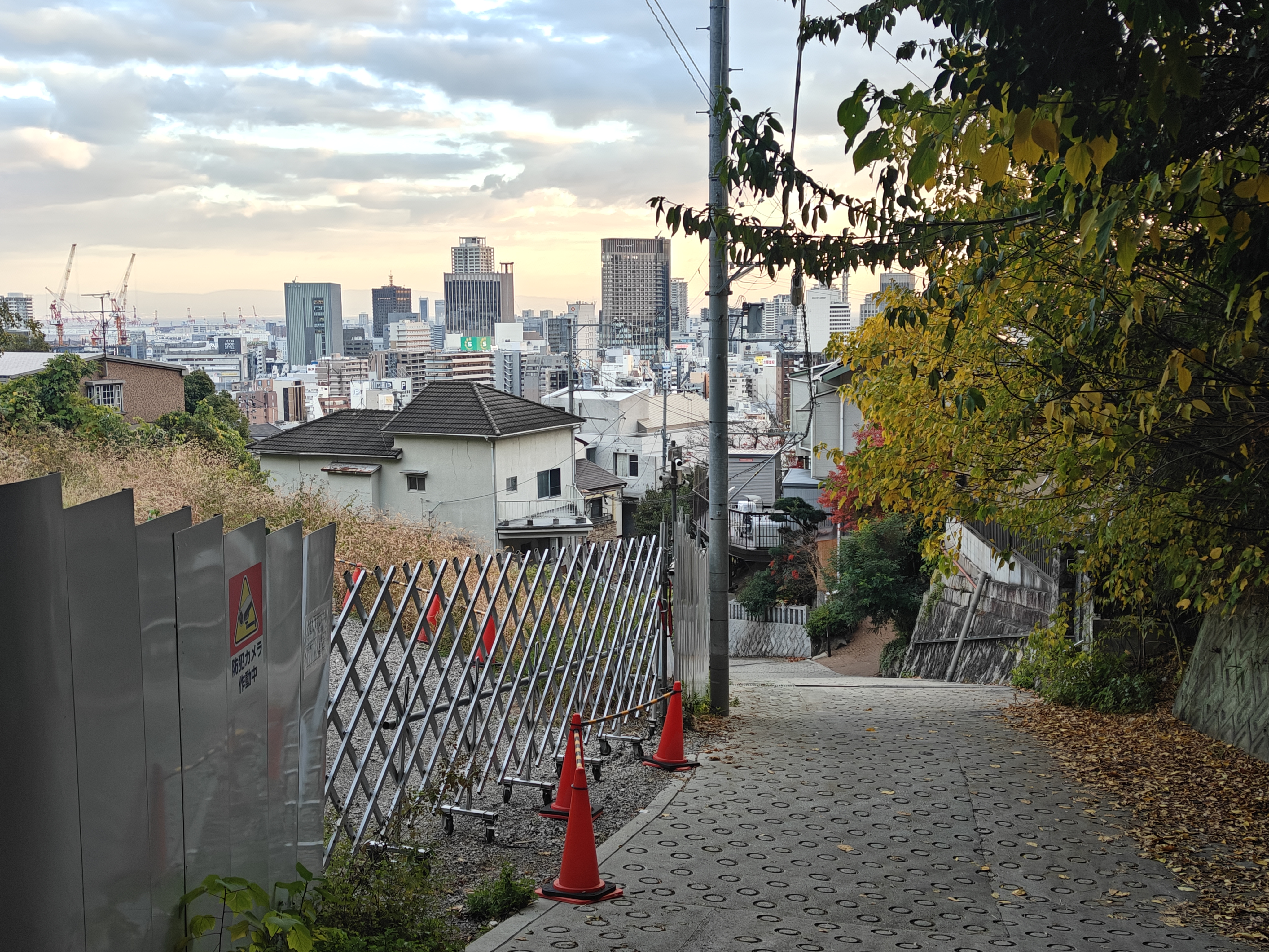 “俯瞰”神户市