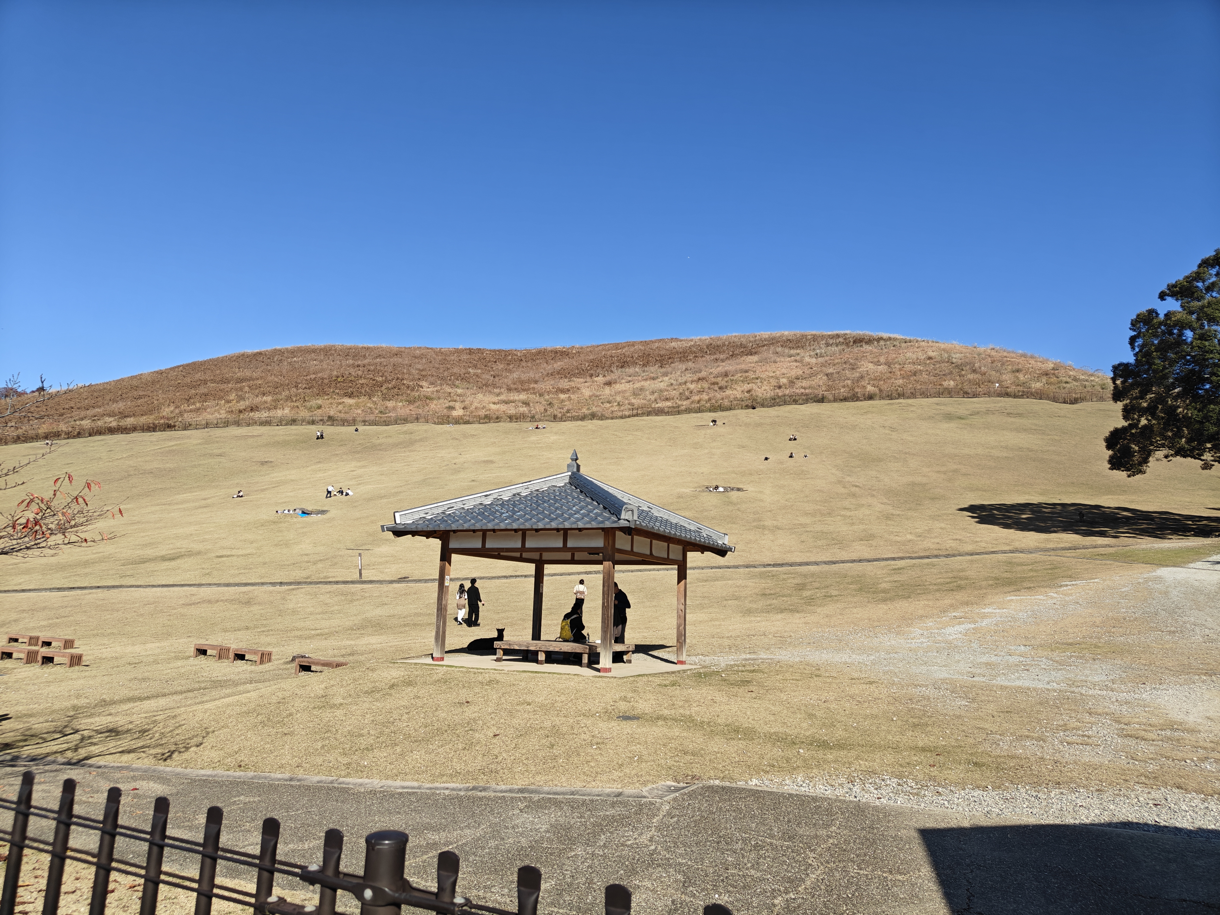 若草山，需要150日元的入山券