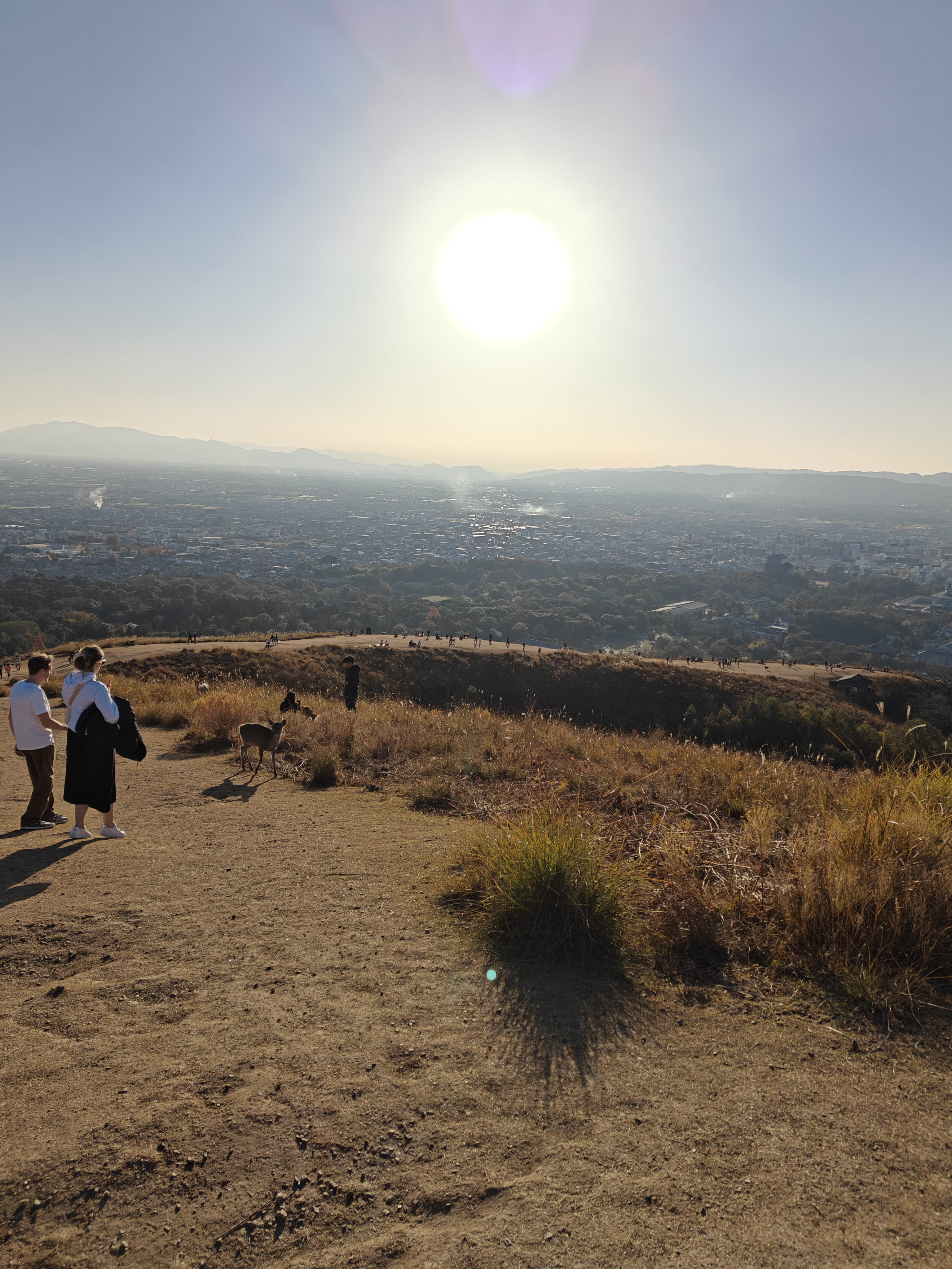 山里有很多鹿，有不少来露营的家庭